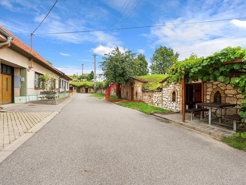 Prodej, přízemní RD/chalupa 4+1 Vrbice, průjezd, dílna, hospodářská stavení, zahrádka, CP: 346m2